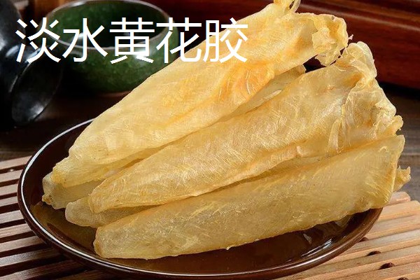 花胶是指什么，是指各类鱼鳔的干制品