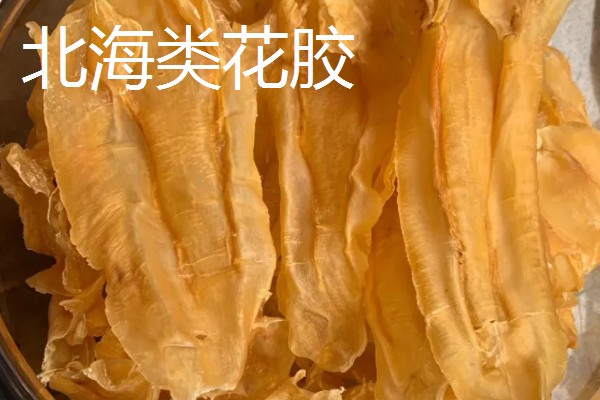 花胶是指什么，是指各类鱼鳔的干制品
