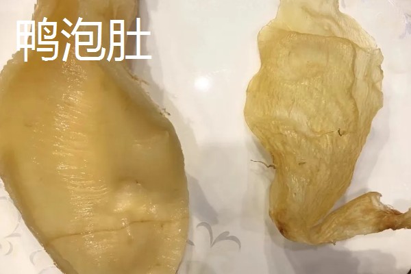 花胶是指什么，是指各类鱼鳔的干制品