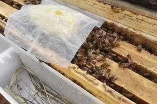 蜂群夏季停产的原因，主要是高温、蜜源匮乏所致