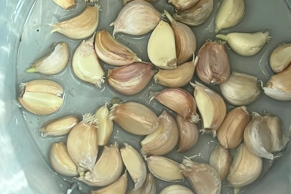 大蒜浸种用哪种药物,选择多菌灵、吡虫啉等药物可防治病虫害