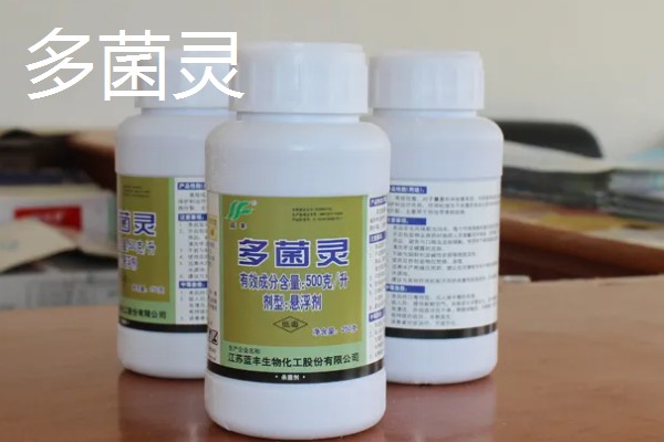 大蒜浸种用哪种药物,选择多菌灵、吡虫啉等药物可防治病虫害