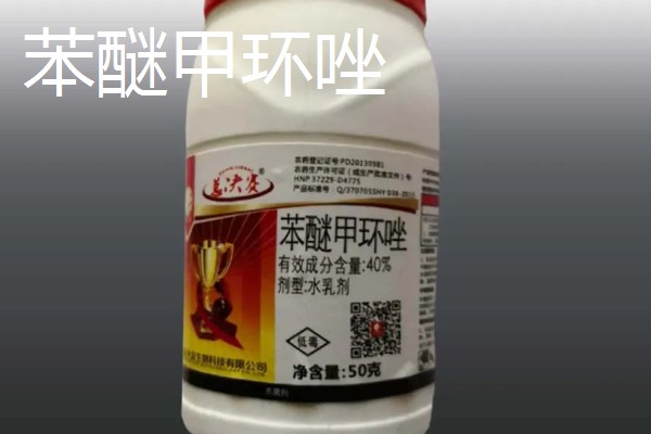 大蒜浸种用哪种药物,选择多菌灵、吡虫啉等药物可防治病虫害