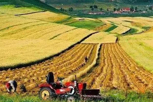 近年我国农业病虫害的特点,种类多、影响大、容易成灾