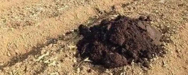 怎么改良土壤，使用石灰可以中和酸性