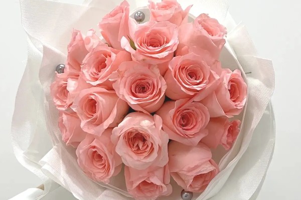 白色玫瑰的花语，花语是纯洁、尊敬等