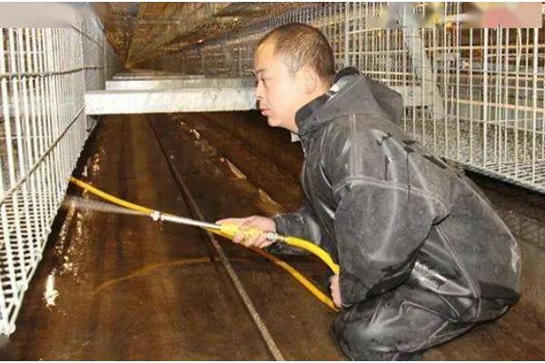 鸡舍熏蒸消毒的注意事项，在消毒的时候要将鸡舍密封