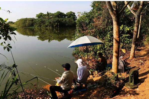 鱼钩钓重对照，可参考以下对照表