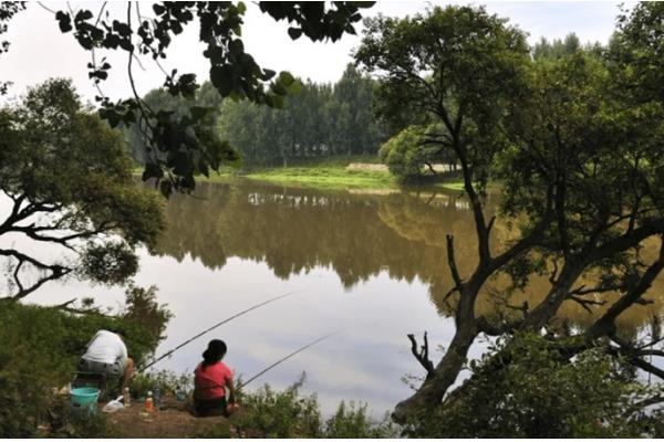 鱼钩钓重对照，可参考以下对照表