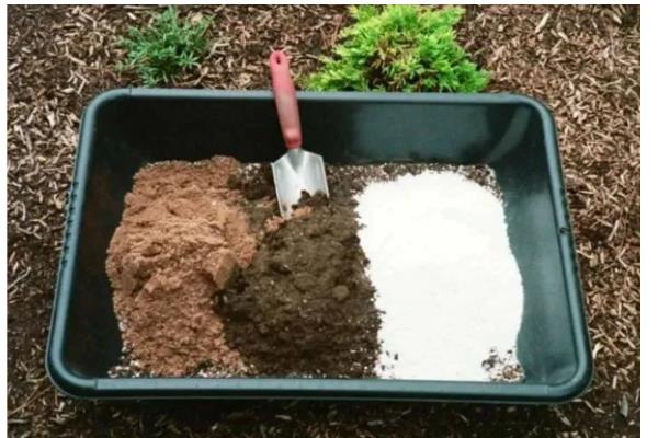 小石积如何养根，生长期每隔10-15天施肥一次