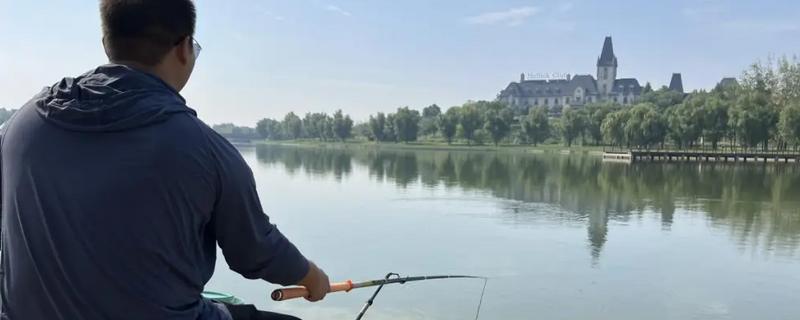 垂钓黑鲩鱼的饵料，使用蚯蚓、泥鳅等活饵效果较好