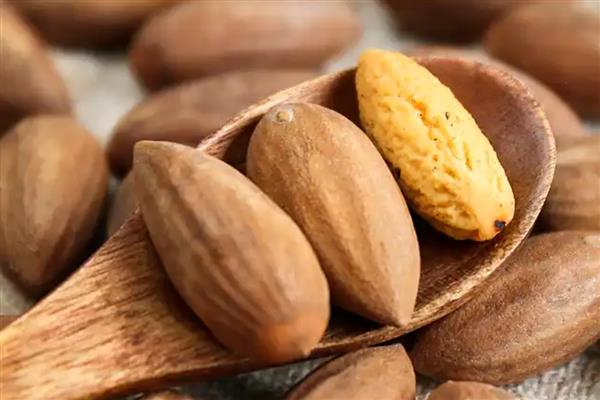 香榧被称为坚果之王的原因,主要受到以下4个难点的影响