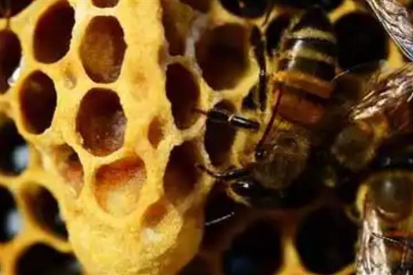 急造王台有几个,少则可能十几个