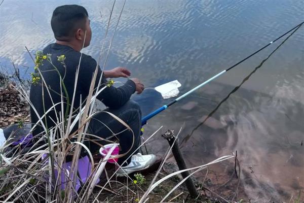 秋季能钓鲮鱼吗,是适合垂钓的一个时段