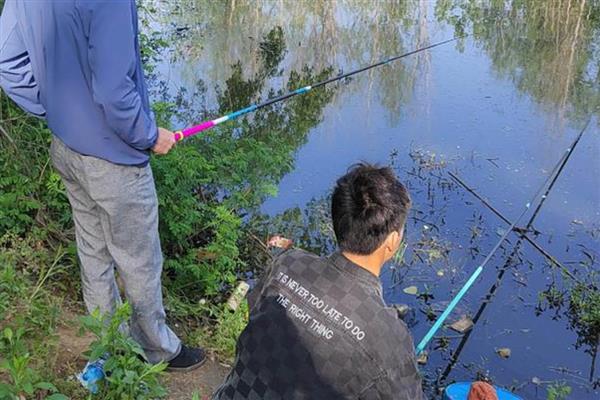 秋季能钓鲮鱼吗,是适合垂钓的一个时段