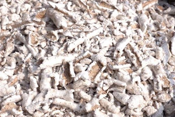 湖南湘西州古丈县的特产,糯米腌酸鱼是待客的上乘佳肴