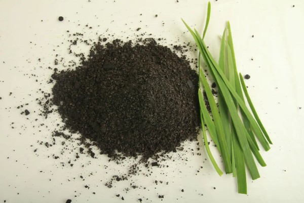 韭菜如何种植，幼苗长到10厘米时追施粪肥