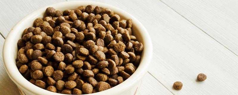 选什么猫粮，自制猫粮、商品化猫粮都很合适