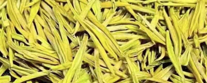 黄茶的代表性的茶，有君山银针、霍山黄芽等