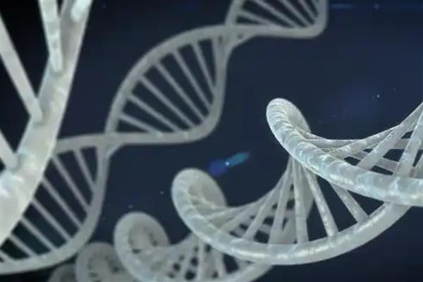 有哪几种无性生殖方式，常见以下6种