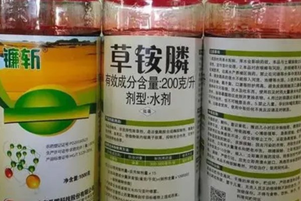 乙羧草铵膦有什么特点，除草彻底且持效期长