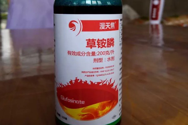 乙羧草铵膦有什么特点，除草彻底且持效期长
