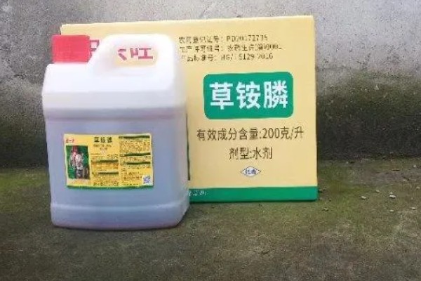 乙羧草铵膦有什么特点，除草彻底且持效期长