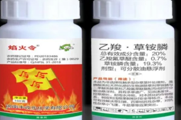 乙羧草铵膦有什么特点，除草彻底且持效期长