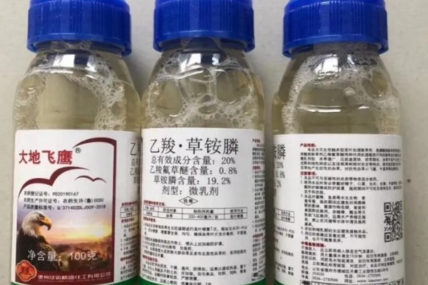 乙羧草铵膦有什么特点，除草彻底且持效期长