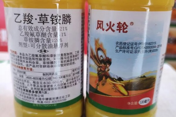 乙羧草铵膦有什么特点，除草彻底且持效期长