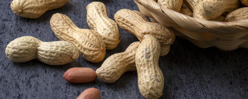 花生的价值，主要是食用价值