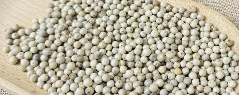白胡椒和黑胡椒哪个好，根据自己的口味选择