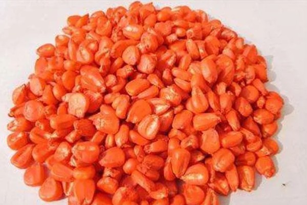 玉米铁茬种植如何施肥，基肥以腐熟有机肥为主