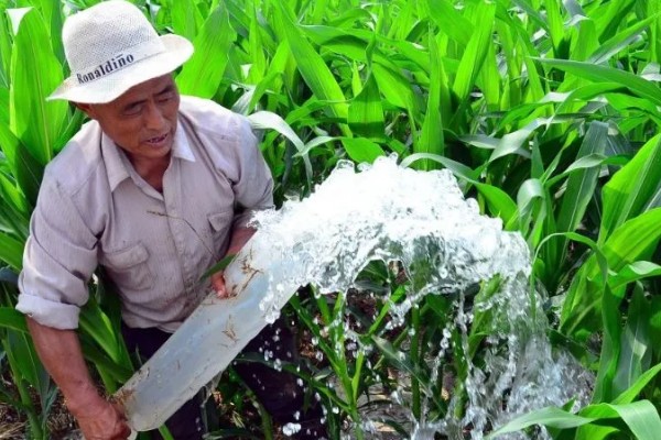玉米铁茬种植如何施肥，基肥以腐熟有机肥为主