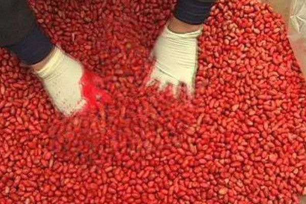 玉米铁茬种植如何施肥，基肥以腐熟有机肥为主