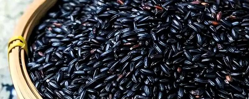 黑米的产地，主要分布在陕西、贵州及湖南等地