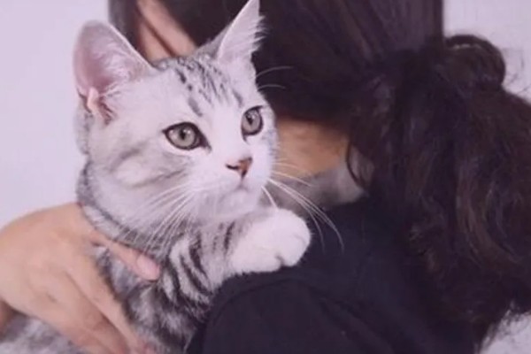 小猫爱咬人如何处理,因心情差、贪玩而咬人可为它提供玩具