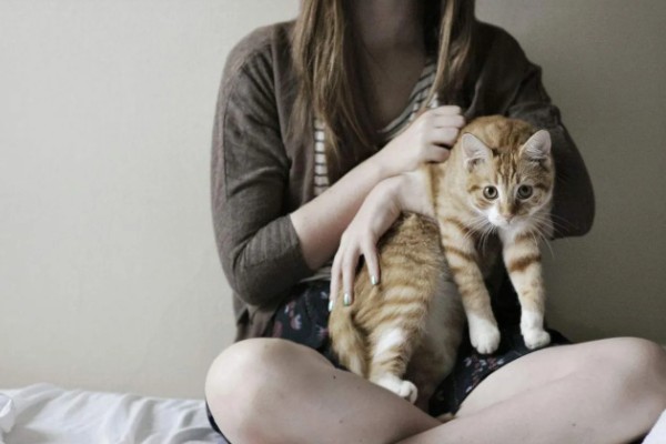 小猫爱咬人如何处理,因心情差、贪玩而咬人可为它提供玩具