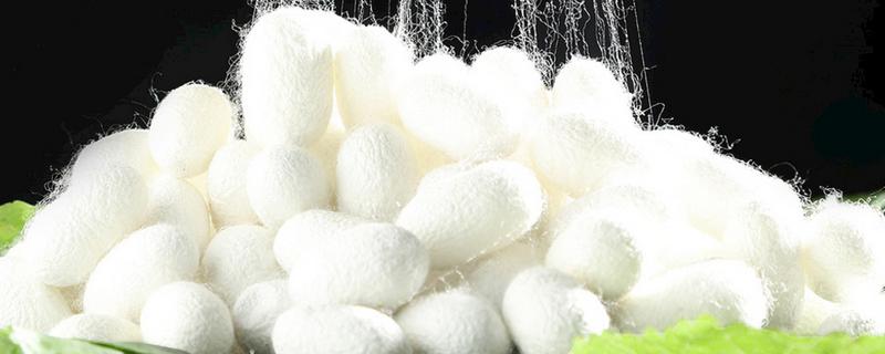 桑蚕丝如何辨别真假，可以用火烧来分辨