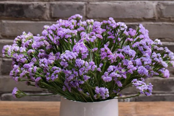 紫色勿忘我有什么花语,代表请想念我、玲珑可爱等含义