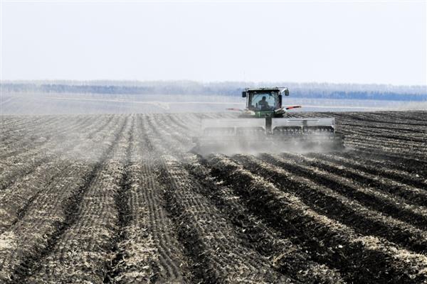 怎么改良土壤,使用石灰可以中和酸性