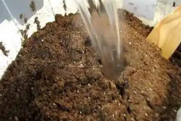 怎么改良土壤,使用石灰可以中和酸性