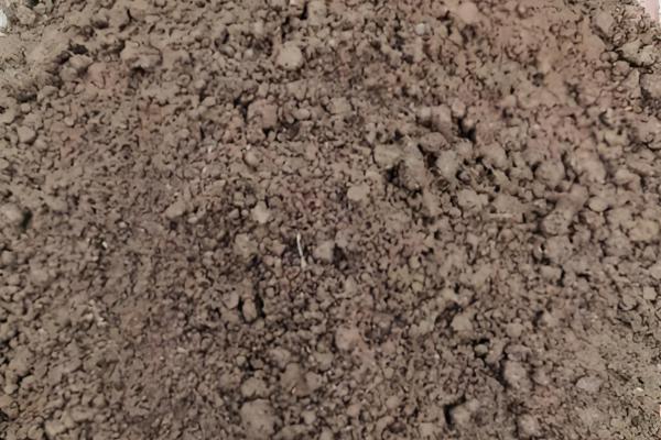 室内养花怎么彻底根除小飞虫，可喷洒烟灰水