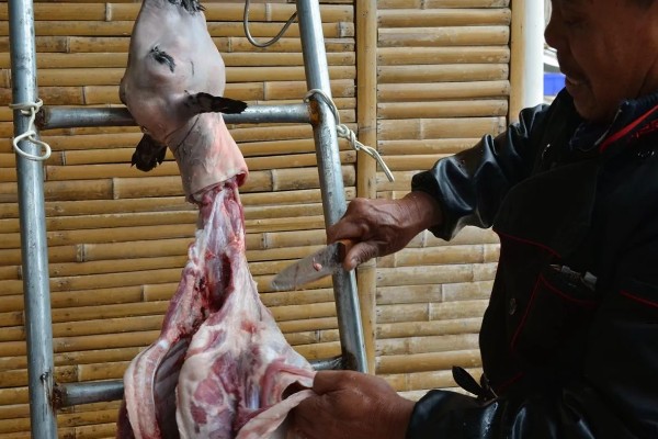 杀羊如何放血,常用方法是切断血管、气管和食管