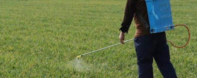 提高打药效果的方法，轮换用药可避免害虫产生抗药性