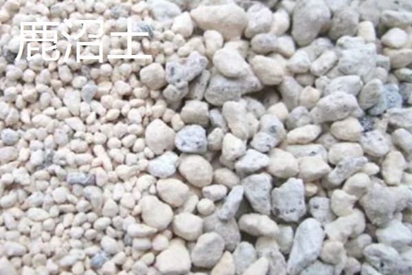 赤玉土与鹿沼土的区别是什么，由来和硬度均不同