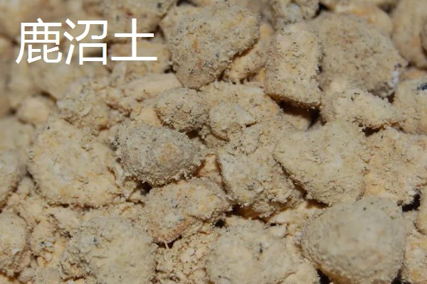 赤玉土与鹿沼土的区别是什么，由来和硬度均不同