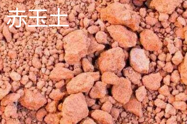 赤玉土与鹿沼土的区别是什么，由来和硬度均不同