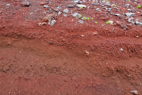 赤玉土与鹿沼土的区别是什么，由来和硬度均不同