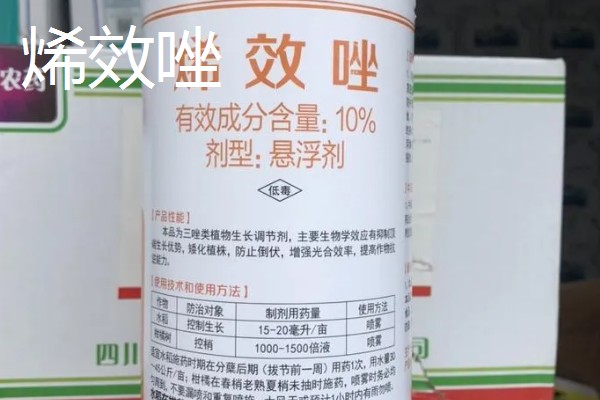 花生的种植时间，主要取决于种植地区的气候环境